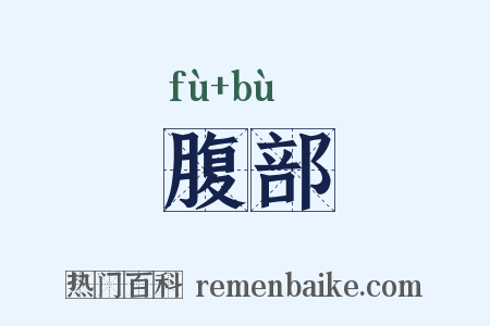 腹部是什么意思的图片